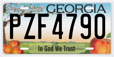 GA license plate PZF4790