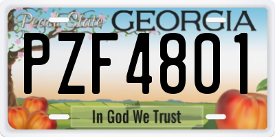 GA license plate PZF4801