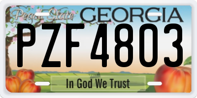 GA license plate PZF4803