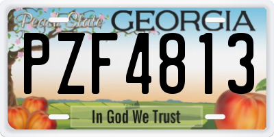 GA license plate PZF4813
