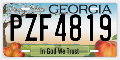 GA license plate PZF4819