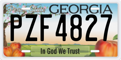 GA license plate PZF4827