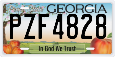 GA license plate PZF4828