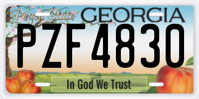 GA license plate PZF4830