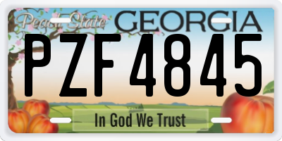 GA license plate PZF4845
