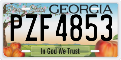 GA license plate PZF4853