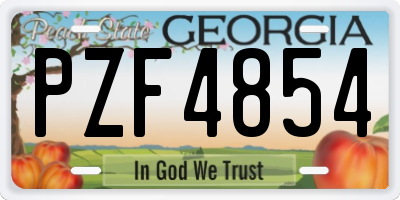 GA license plate PZF4854