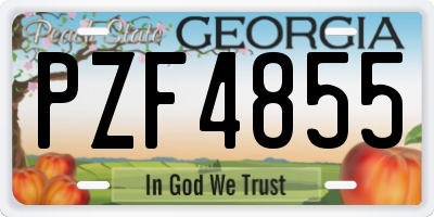 GA license plate PZF4855