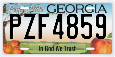 GA license plate PZF4859