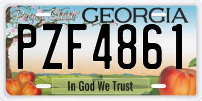 GA license plate PZF4861