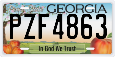 GA license plate PZF4863