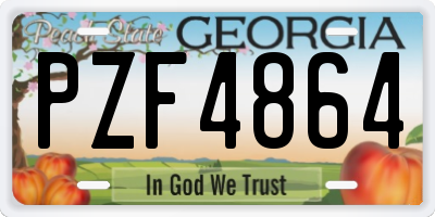 GA license plate PZF4864