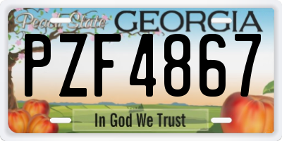 GA license plate PZF4867