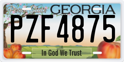 GA license plate PZF4875