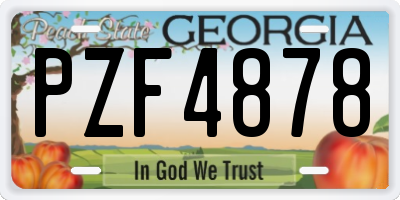 GA license plate PZF4878