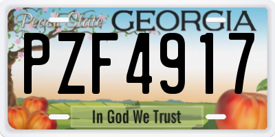 GA license plate PZF4917