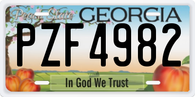 GA license plate PZF4982