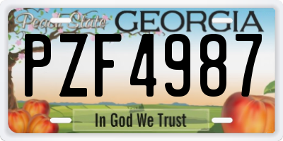 GA license plate PZF4987