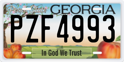 GA license plate PZF4993