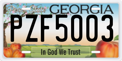 GA license plate PZF5003