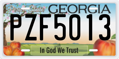 GA license plate PZF5013