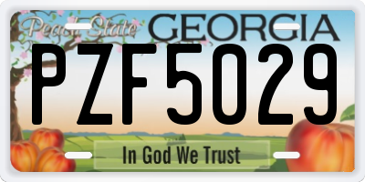 GA license plate PZF5029