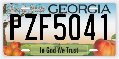GA license plate PZF5041