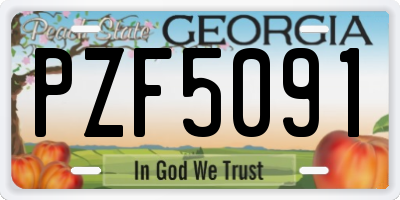 GA license plate PZF5091