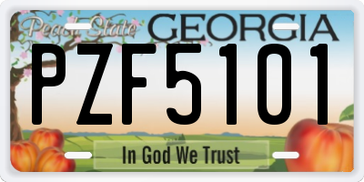 GA license plate PZF5101