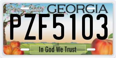 GA license plate PZF5103