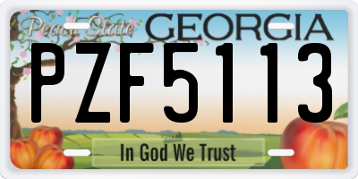 GA license plate PZF5113