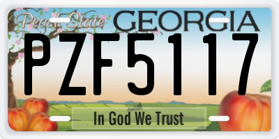 GA license plate PZF5117