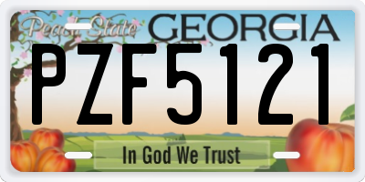 GA license plate PZF5121