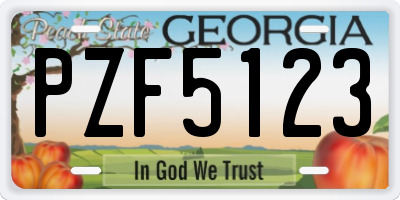 GA license plate PZF5123