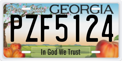 GA license plate PZF5124