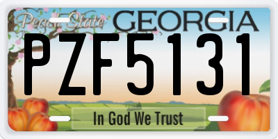 GA license plate PZF5131