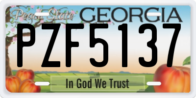 GA license plate PZF5137