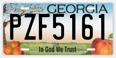 GA license plate PZF5161