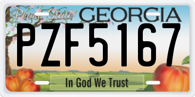GA license plate PZF5167
