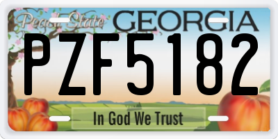 GA license plate PZF5182