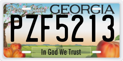 GA license plate PZF5213