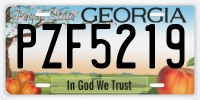 GA license plate PZF5219