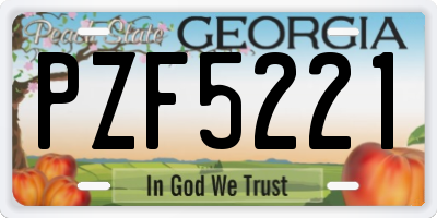 GA license plate PZF5221