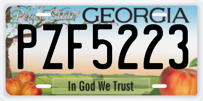 GA license plate PZF5223