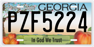 GA license plate PZF5224