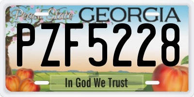 GA license plate PZF5228