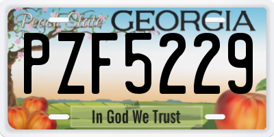 GA license plate PZF5229