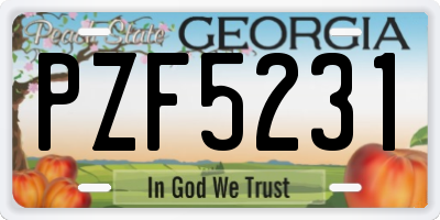 GA license plate PZF5231