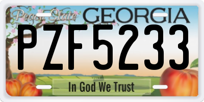 GA license plate PZF5233