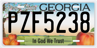 GA license plate PZF5238